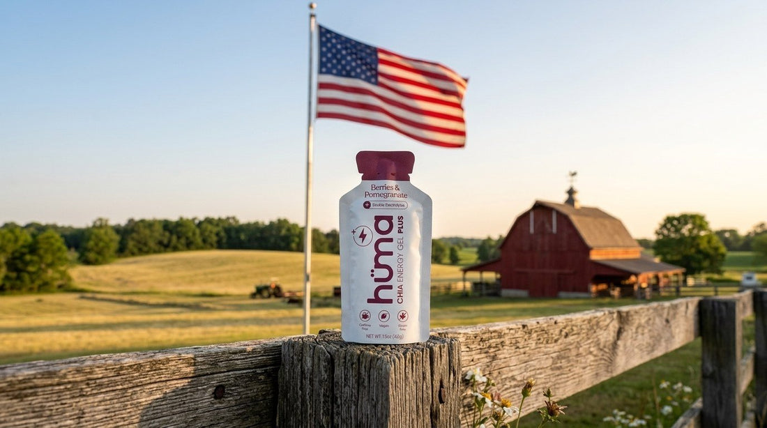 A Huma gel on a fence post under a large American flag on a country road